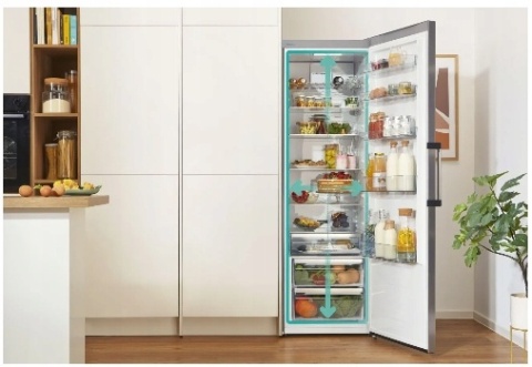 Lodówka Gorenje R619EAW6 398l LED FreshZone 60cm Biała 185cm wysoka