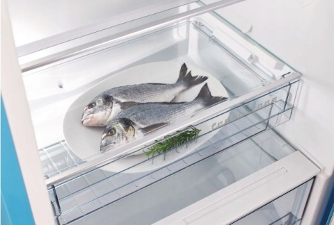 Lodówka jednodrzwiowa Gorenje OBRB615DR Retro Volkswagen Bordowo - Kremowa