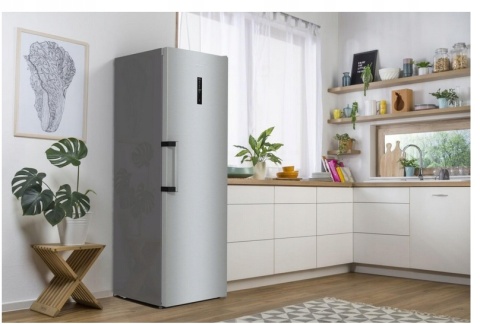 Lodówka jednodrzwiowa Gorenje R619EAXL6 185cm srebrna chłodziarka
