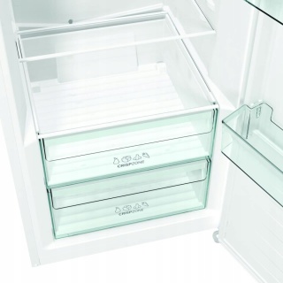 Lodówka jednodrzwiowa Gorenje R619EEW5 185x60 Biała Dynamic Air Klasa E