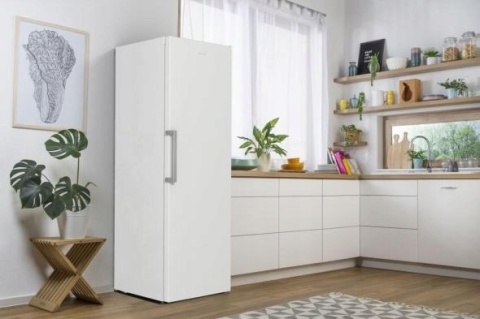 Lodówka jednodrzwiowa Gorenje R619EEW5 185x60 Biała Dynamic Air Klasa E