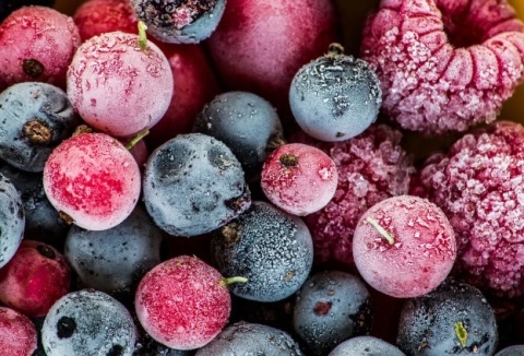 Zamrażarka do zabudowy Gorenje FNI518EA1