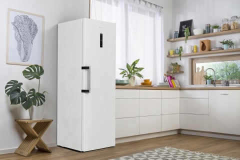 Zamrażarka wolnostojąca Gorenje FN619EAW6 No Frost Biała 185cm x 60cm